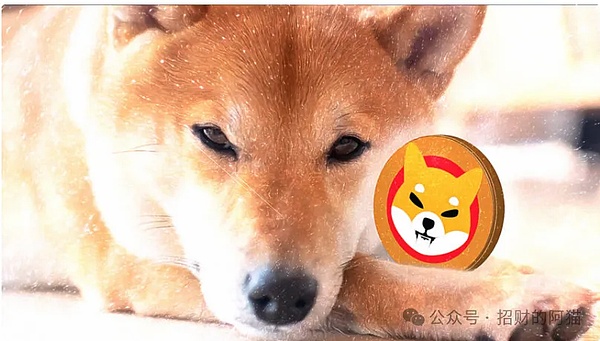 比特币王者归来：3万美元大关告破，新一轮牛市已至？