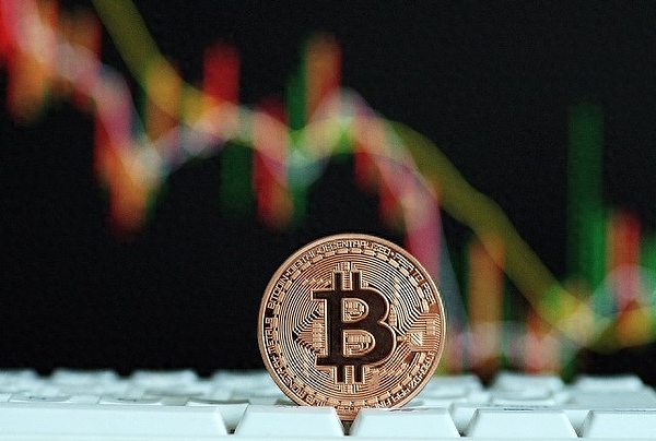揭秘Web3骗局之王：胖企鹅背后的黑暗操盘手