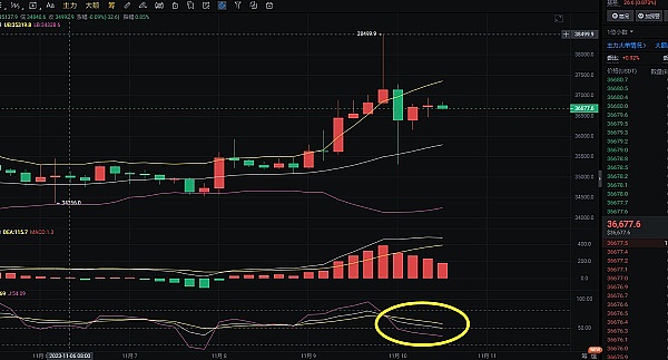 比特币高位震荡 多头能否再创辉煌？