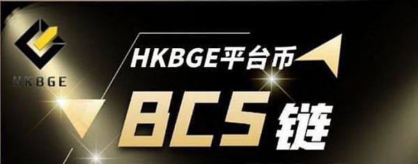 熊市中的逆袭者：波场生态的韧性成长记
