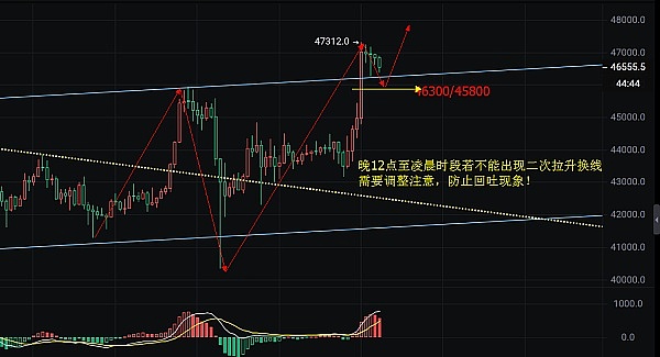当草泥马遇上区块链：Space Alpaca如何重塑Web3游戏体验