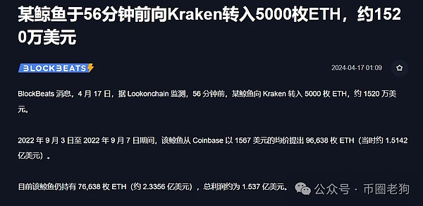 狗狗币能否突破0.08美元大关？关键信号深度解读